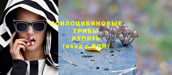 гашик Балахна