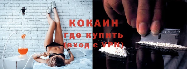 индика Баксан