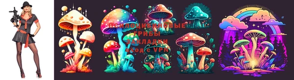 мдпв Нягань