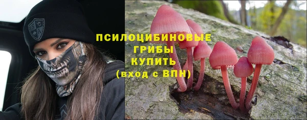 гашик Балахна