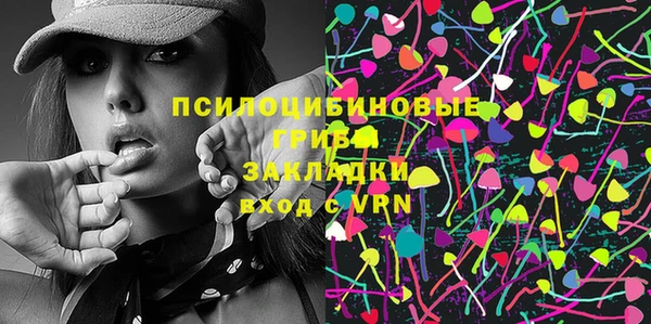 шишки Белоозёрский
