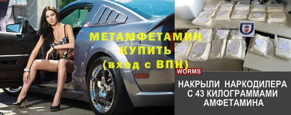 шишки Белоозёрский