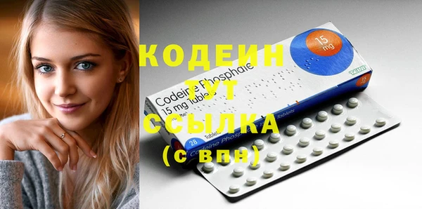 индика Баксан