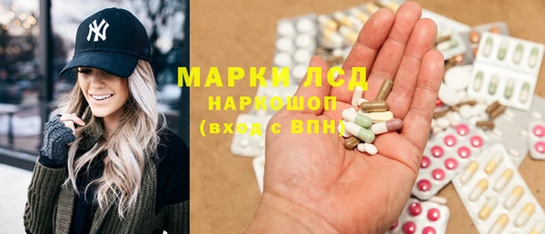 гашик Няндома