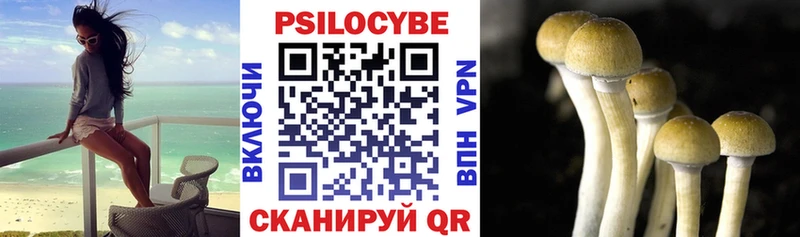 Псилоцибиновые грибы Psilocybe  купить закладку  ссылка на мегу вход  Севск 